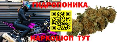 МДПВ Лесосибирск