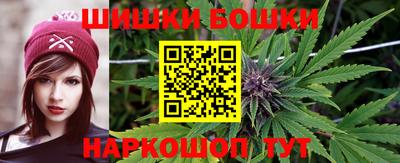 МДПВ Лесосибирск