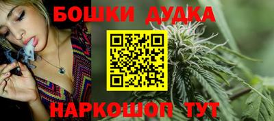 МДПВ Лесосибирск