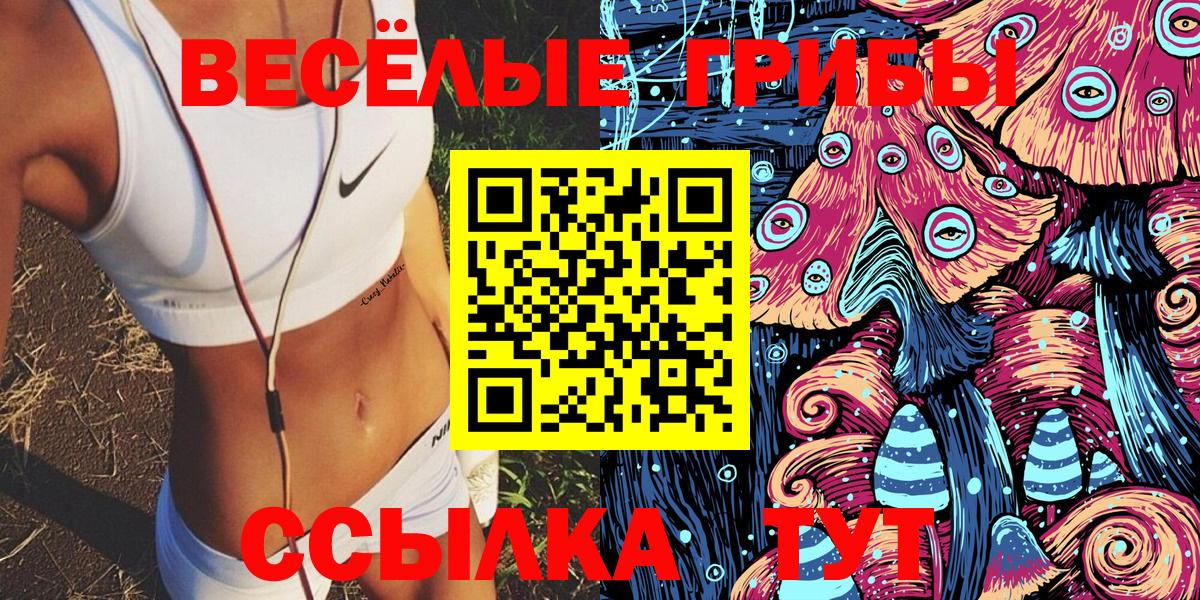 купить   Галлюциногенные грибы Psilocybe  Вход с VPN  Галлюциногенные грибы Cubensis  Зеленокумск 